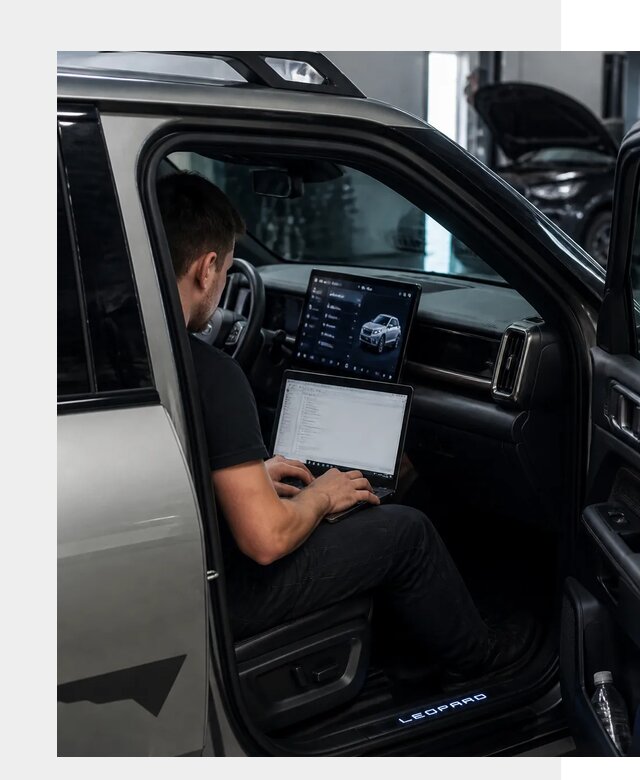 Русификация BYD Leopard 3 в Рославле по цене от 20449 р. | ФастМобиль-Рлв